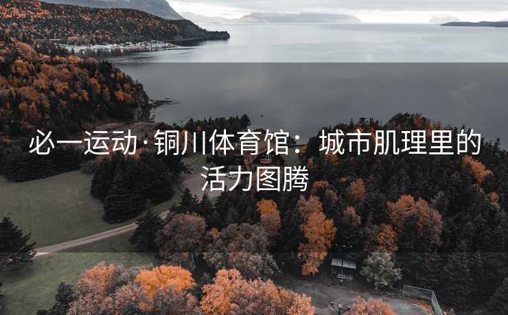 必一运动·铜川体育馆：城市肌理里的活力图腾